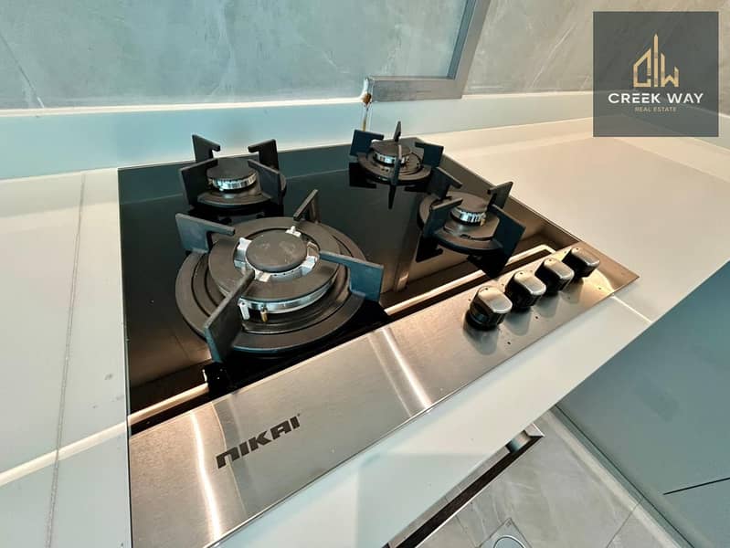 Luxury Apartment with High ROI - Image 10