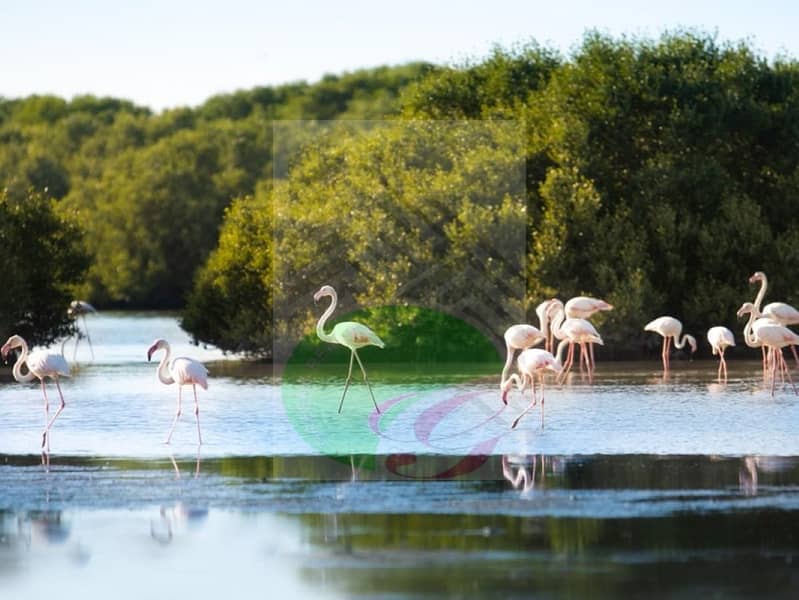 21 al-zorah-nature-reserve-min. jpg