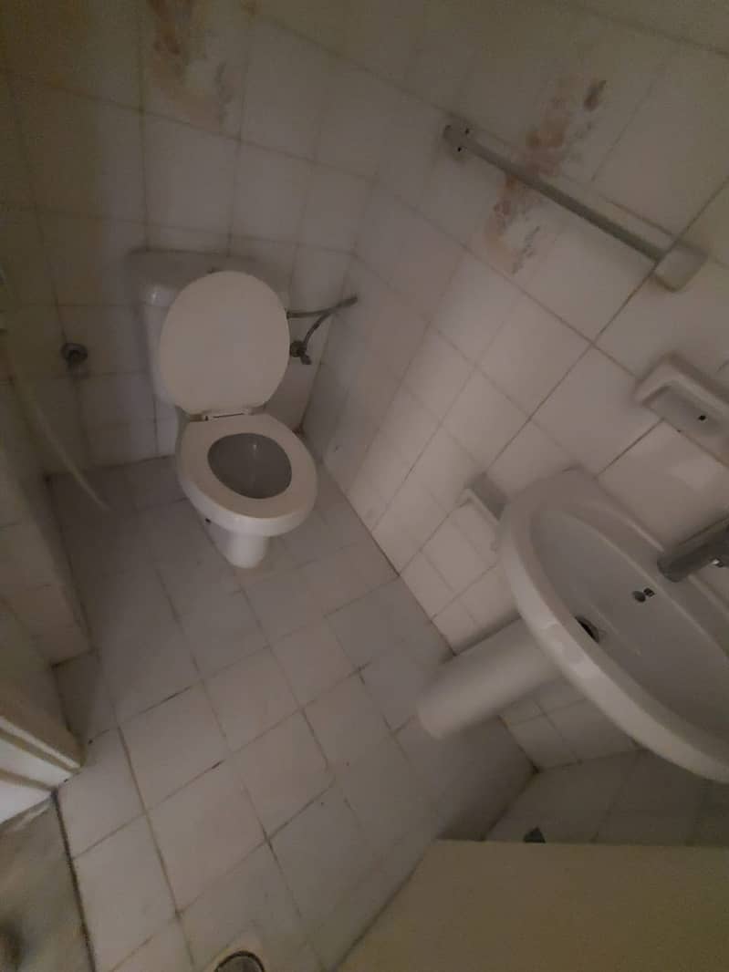 8 1000305835. jpg