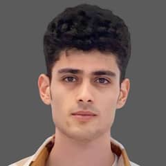 Mahmoud Gaber Mahmoud Gaber