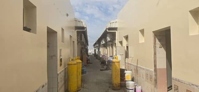 سكن عمال للايجار في الصجعة، الشارقة - IMG-20260129-WA0013. jpg سكن عمال للايجار في الصجعة، الشارقة - IMG-20260129-WA0013. jpg