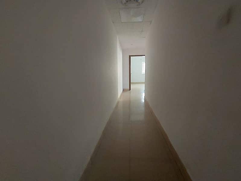 7 IMG_7903. jpeg