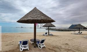 شقة في بناية فيروز،باب البحر،جزيرة المرجان 1 غرفة 1250000 درهم - 14220031