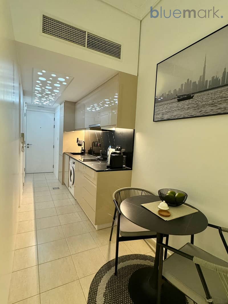 Extra-Spacious Studio | Fully Upgraded | Next to Metro | Lake View | VOT - Image 8