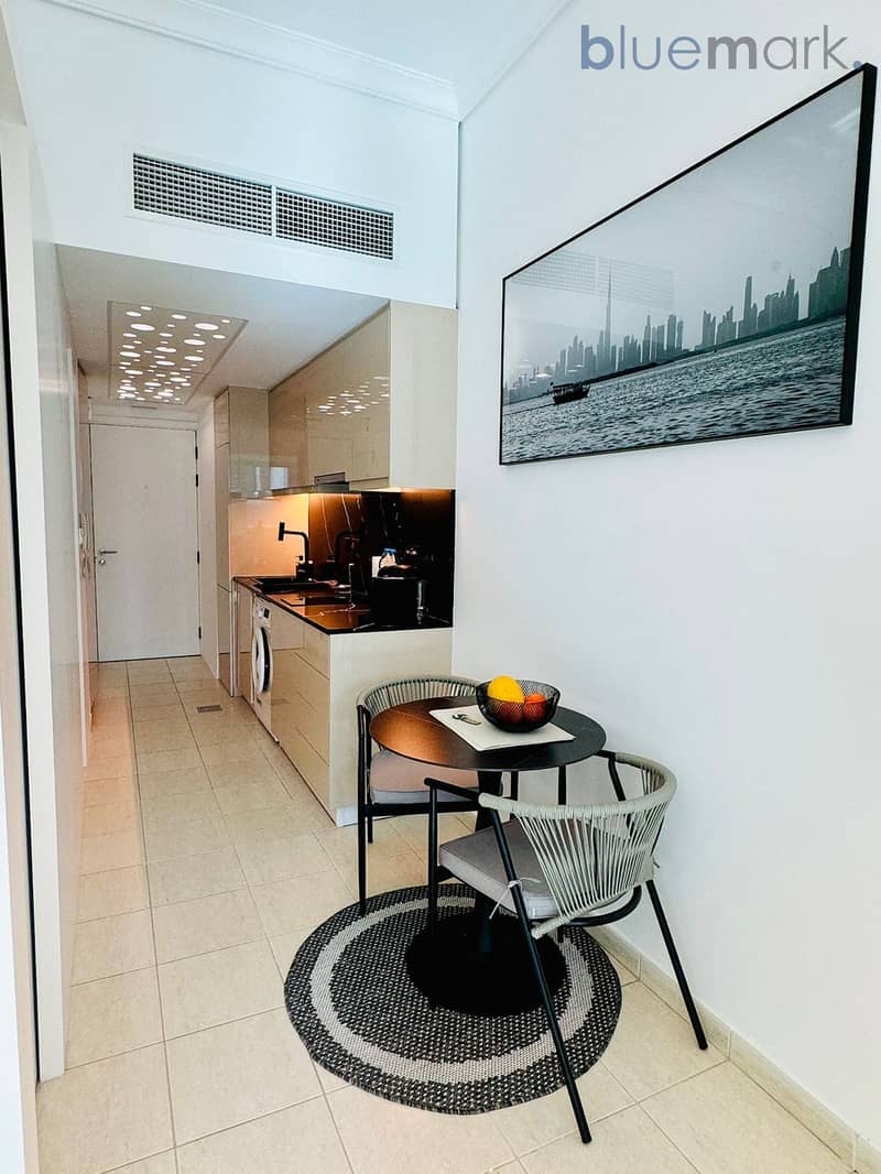 Extra-Spacious Studio | Fully Upgraded | Next to Metro | Lake View | VOT - Image 9