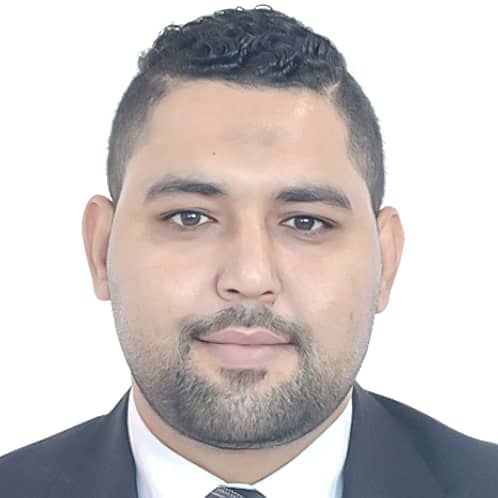 Mahmoud Mohamed Mahmoud Mohamed
