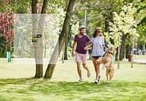 12 recreational_areas_1768290627. jpg