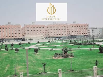 3 Camere Appartamento in affitto a Muwaileh, Sharjah - 16341. jpg 3 Camere Appartamento in affitto a Muwaileh, Sharjah - 16341. jpg