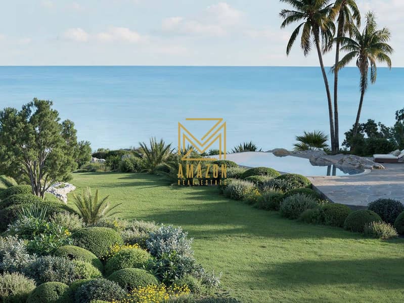 19 Asora B 5. jpeg