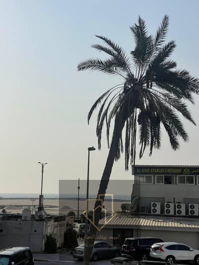 1 Bedroom Apartment for Rent in Al Rumaila, Ajman - IMG-20250923-WA0006. jpg 1 Bedroom Apartment for Rent in Al Rumaila, Ajman - IMG-20250923-WA0006. jpg