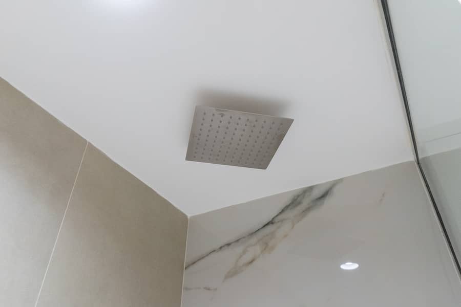 48 GCS00479. jpg