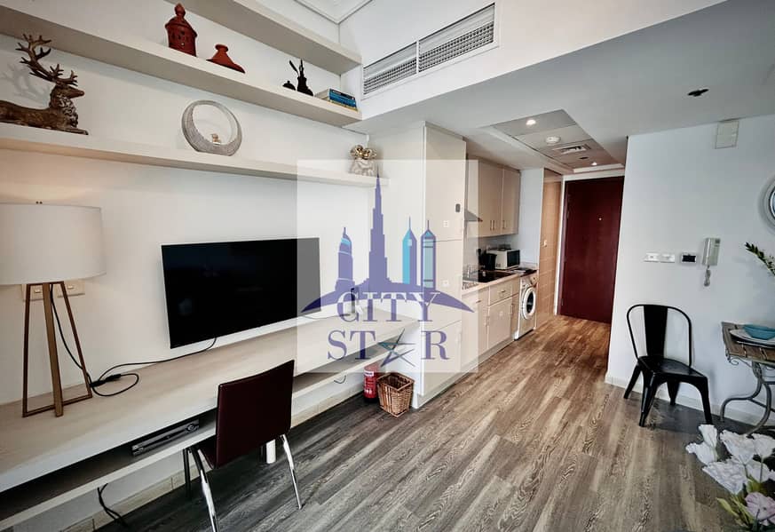 Upgraded Furnished Studio | Lake View | Near Metro