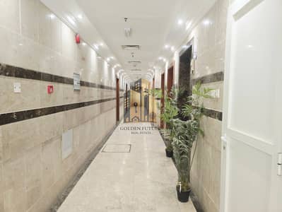 1 habitación Apartamento para en Alquiler en Muwaileh, Sharjah - 135214. jpg 1 habitación Apartamento para en Alquiler en Muwaileh, Sharjah - 135214. jpg