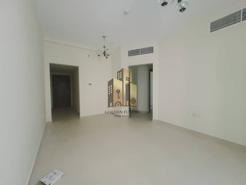9 55062. jpg