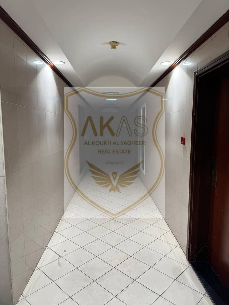 Specious Chiller Free Apartment With Amanties