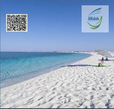 2 Bedroom Apartment for Sale in Corniche Ajman, Ajman - WhatsApp Image 2026-02-19 at 1.39. 55 PM. jpeg 2 Bedroom Apartment for Sale in Corniche Ajman, Ajman - WhatsApp Image 2026-02-19 at 1.39. 55 PM. jpeg