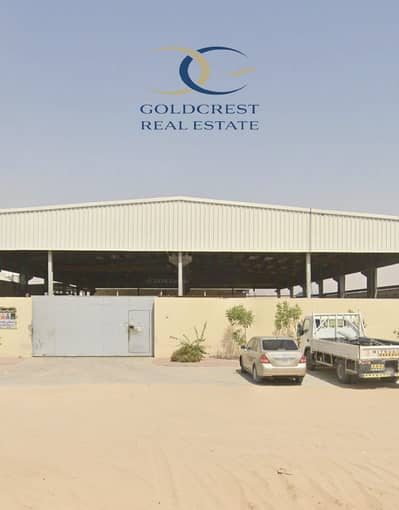Warehouse for Sale in Al Sajaa, Sharjah - WhatsApp Image 2026-02-22 at 1.47. 55 PM. jpeg Warehouse for Sale in Al Sajaa, Sharjah - WhatsApp Image 2026-02-22 at 1.47. 55 PM. jpeg