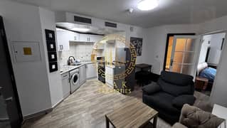 Fully Furnished One Bedroom For Rent Multiple Payments