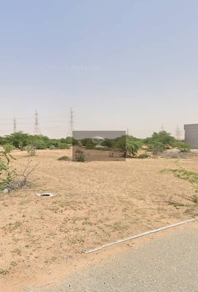 Industrial Land para en Venta en Al Hamriyah, Sharjah - 54b4b665-f8b0-410c-b2c0-ceba43e8944a. jpg Industrial Land para en Venta en Al Hamriyah, Sharjah - 54b4b665-f8b0-410c-b2c0-ceba43e8944a. jpg