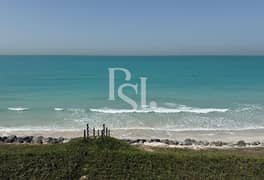 فیلا في حِد السعديات،جزيرة السعديات 6 غرف 95000000 درهم - 14385394