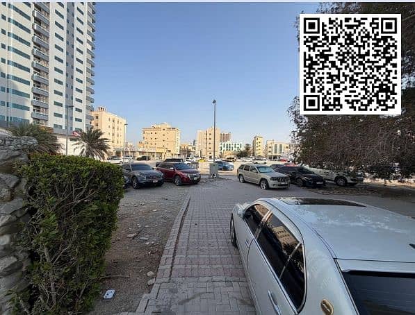 11 WhatsApp Image 2026-02-11 at 2.40. 51 AM. jpeg