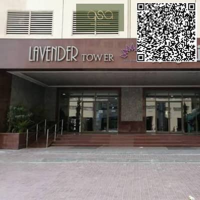2 Bedroom Apartment for Rent in Emirates City, Ajman - WhatsApp Image 2026-02-25 at 4.47. 24 PM. jpeg 2 Bedroom Apartment for Rent in Emirates City, Ajman - WhatsApp Image 2026-02-25 at 4.47. 24 PM. jpeg