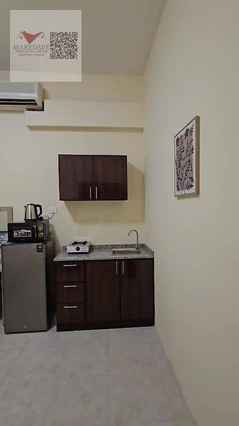 4 IMG311867. jpg