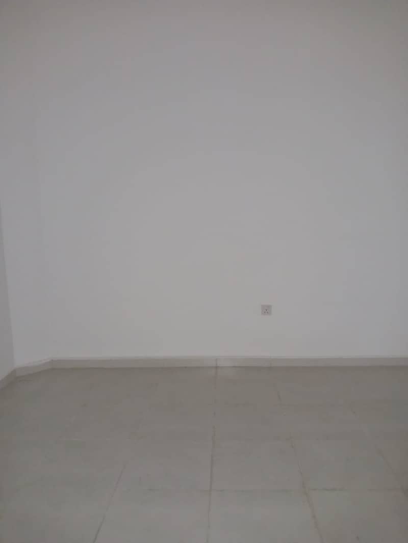 5 1000452492. jpg