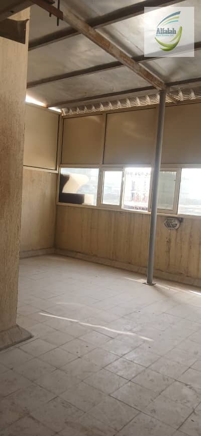 2 Schlafzimmer Wohnung zum Miete in Emirates City, Ajman - WhatsApp Image 2026-02-26 at 11.14. 54 PM (2). jpeg 2 Schlafzimmer Wohnung zum Miete in Emirates City, Ajman - WhatsApp Image 2026-02-26 at 11.14. 54 PM (2). jpeg