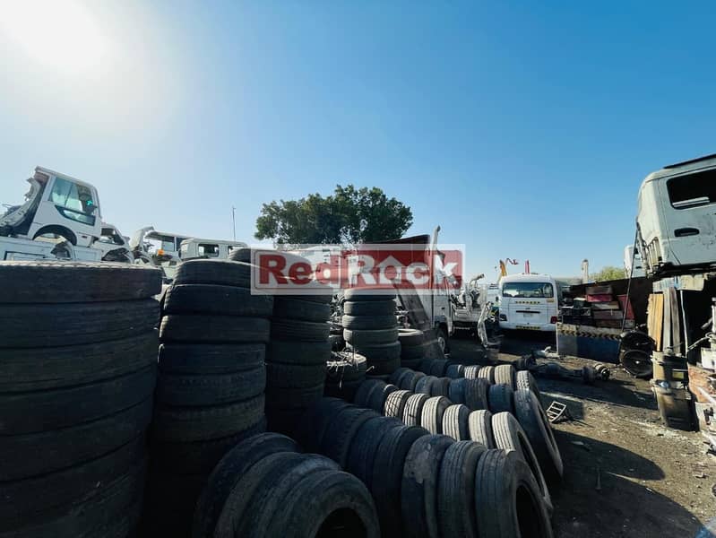 5 WhatsApp Image 2026-01-20 at 16.55. 25 (1). jpeg