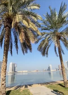 غرفه وصاله مفروشه بالكامل تملك حر بعائد مضمون وبدون عموله