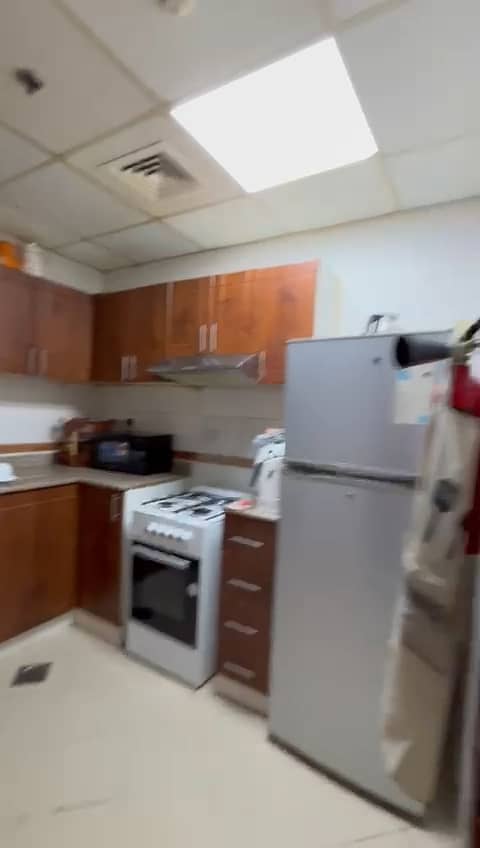 11 vf_VID-20260223-WA0123_3003. jpeg