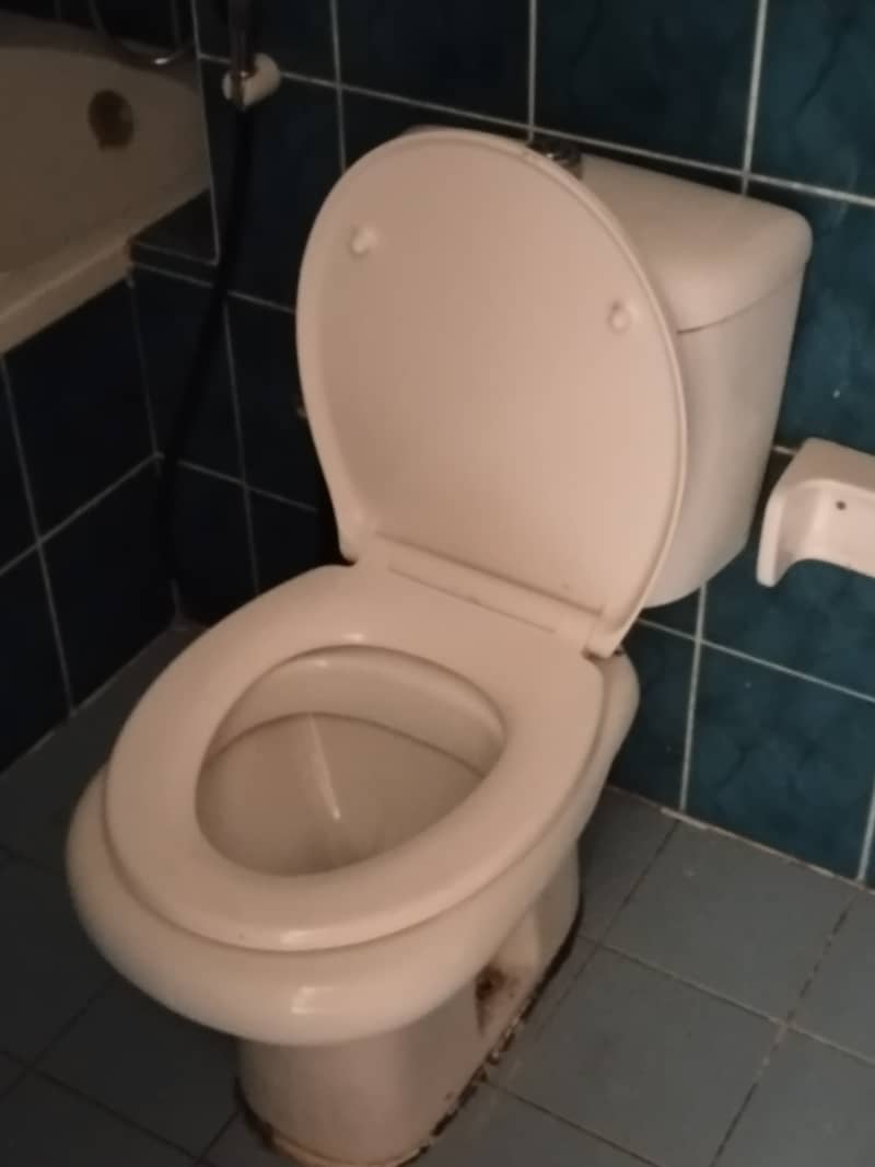 11 1000640739. jpg