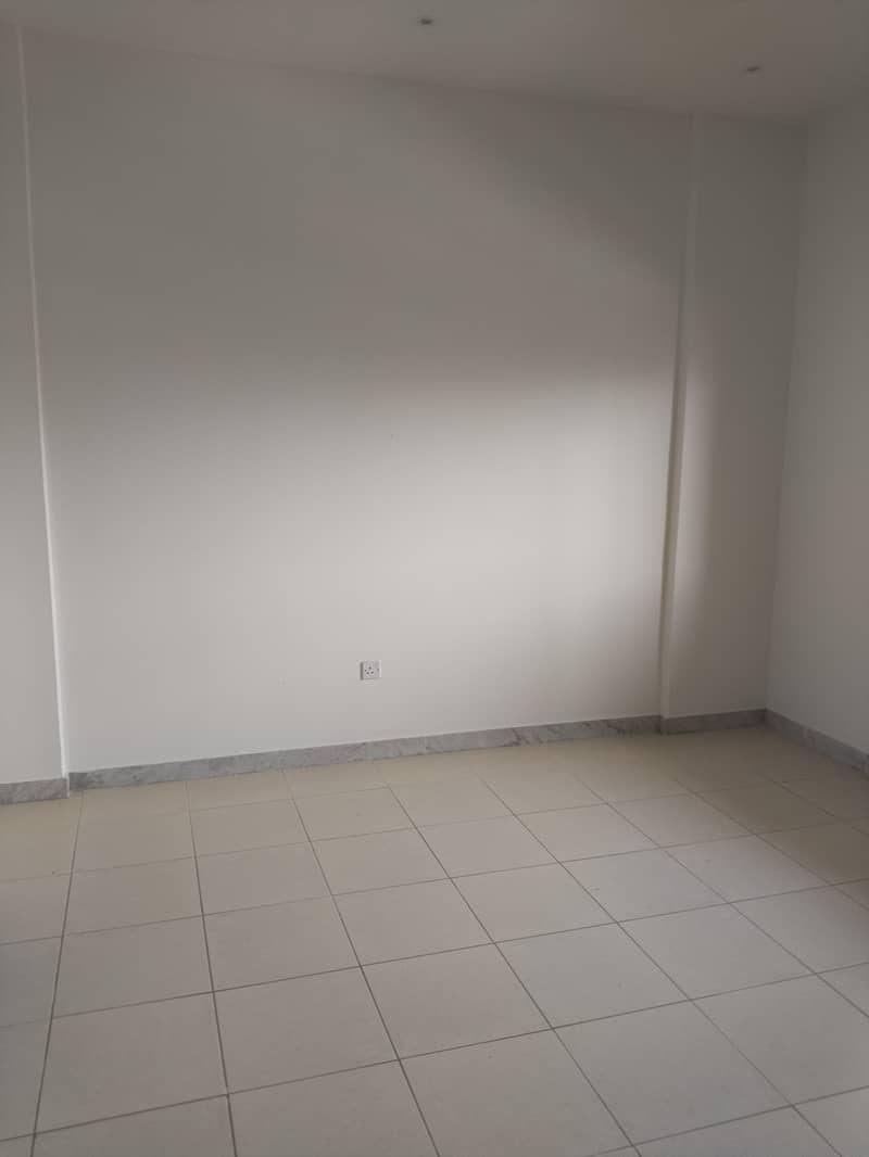 5 1000625376. jpg