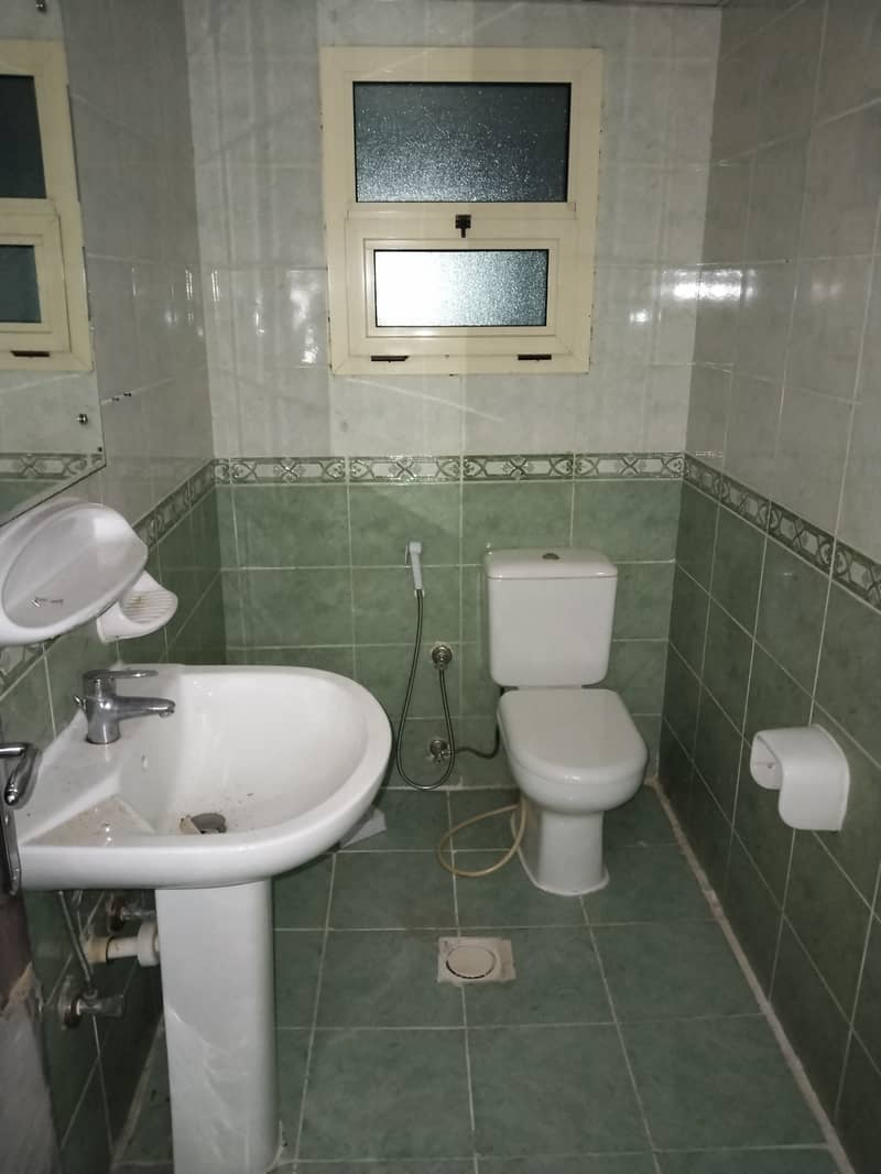 2 1000656533. jpg