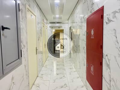 1 Bedroom Flat for Rent in Al Salamah, Umm Al Quwain - WhatsApp Image 2026-03-09 at 6.01. 46 PM (2). jpeg
