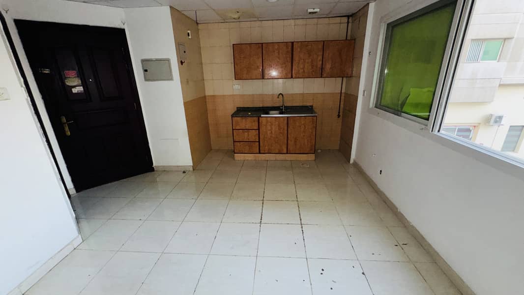 Specious Studio Apartment For Family Rent In Butina