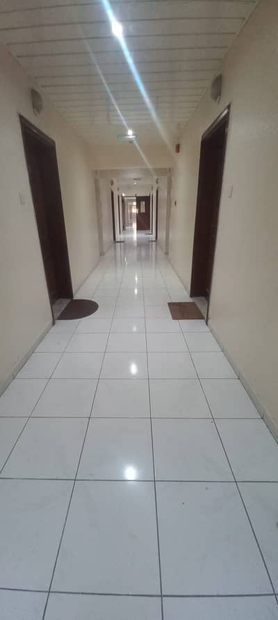 1 Bedroom Flat for Rent in Al Qasimia, Sharjah - WhatsApp Image 2026-03-07 at 7.21. 40 AM. jpeg
