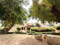 فیلا في الریم 2،الریم،المرابع العربية 4 غرف 250000 درهم - 14564534