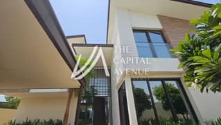 صف واحد | سقف مرتفع | مطبخ استعراضي |