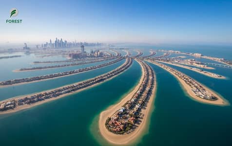 VIP|Large|Unique Plots|Palm Jumeirah|Private Beach VIP|Large|Unique Plots|Palm Jumeirah|Private Beach