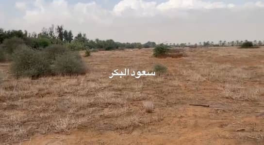 Other Commercial for Sale in mudfak, Ras Al Khaimah - WhatsApp Image 2026-01-05 at 07.42. 20. jpeg Other Commercial for Sale in mudfak, Ras Al Khaimah - WhatsApp Image 2026-01-05 at 07.42. 20. jpeg