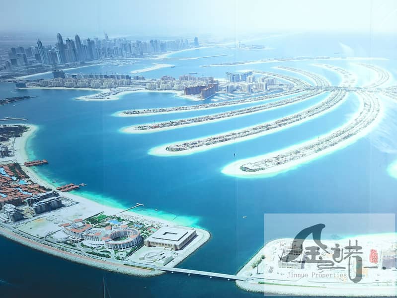 12 Lumii_20240921_165643983. jpg