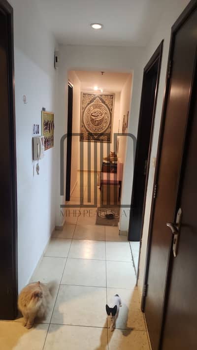 Appartement de 2 chambres à à vendre à Al Mamzar, Sharjah - WhatsApp Image 2026-03-24 at 9.36. 20 AM (2). jpeg Appartement de 2 chambres à à vendre à Al Mamzar, Sharjah - WhatsApp Image 2026-03-24 at 9.36. 20 AM (2). jpeg