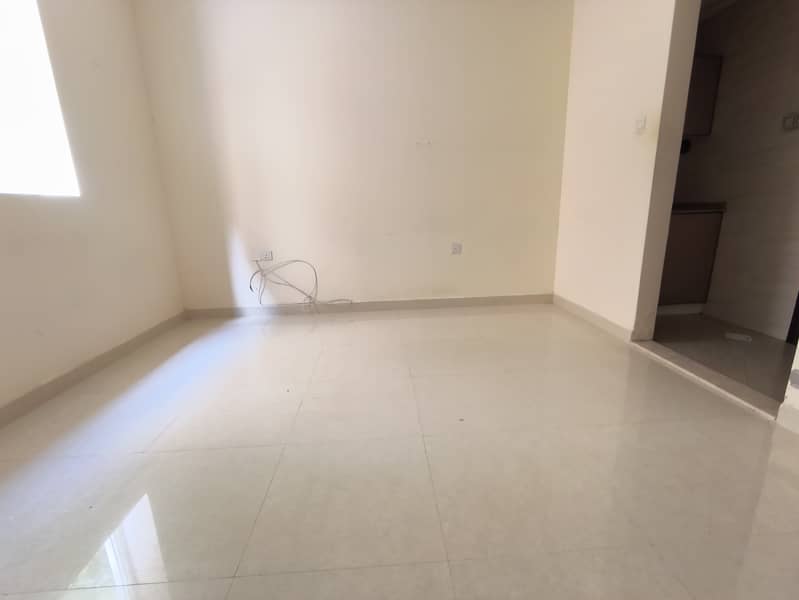 5 1000205113. jpg