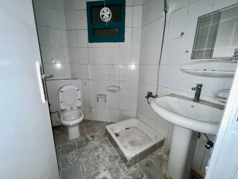 5 IMG_7834. jpeg