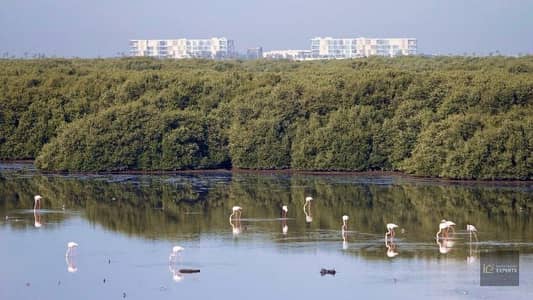 ارض سكنية  للبيع في الزوراء، عجمان - Al-Zorah-Nature-Reserve-768x432. jpg