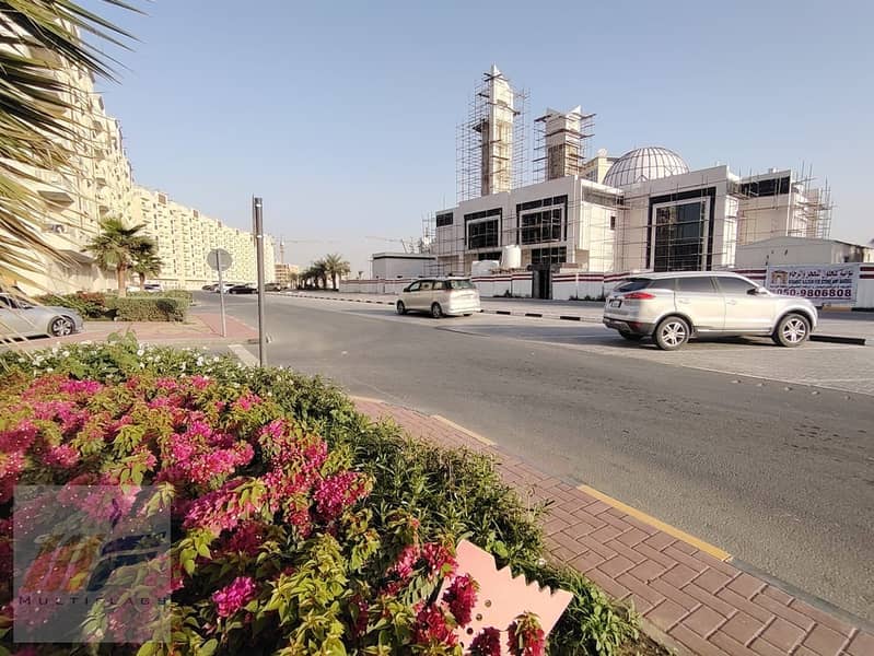 14 WhatsApp Image 2026-02-17 at 12.19. 02 PMت. jpeg