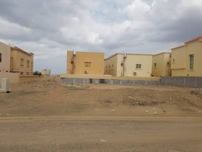 عجمان الروضه عجمان الروضه