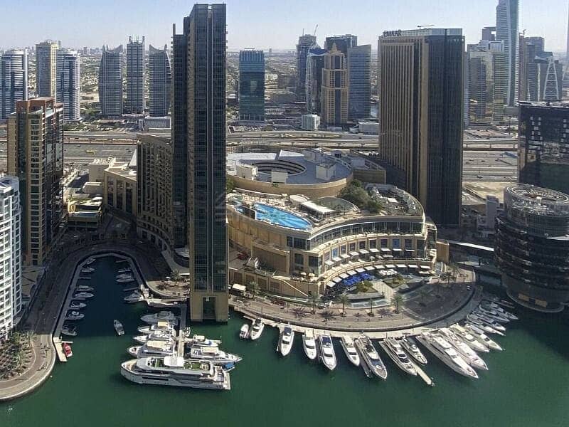 Palm View | Semi Furnished | Chiller Free - Image 7